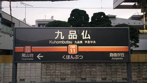 20555