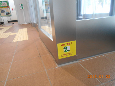 okutsugaruimabetsu_hebi