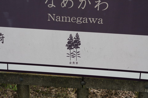 namegawa_hana