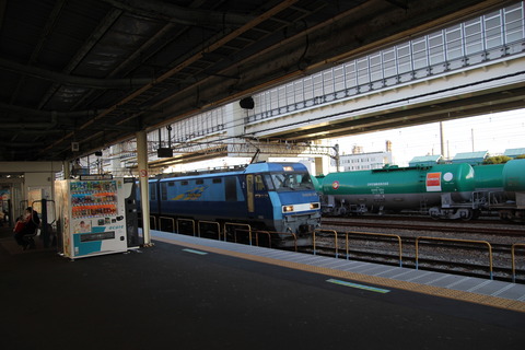 negishi_JRF