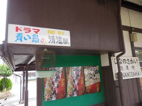 shinanosakai_aoitori