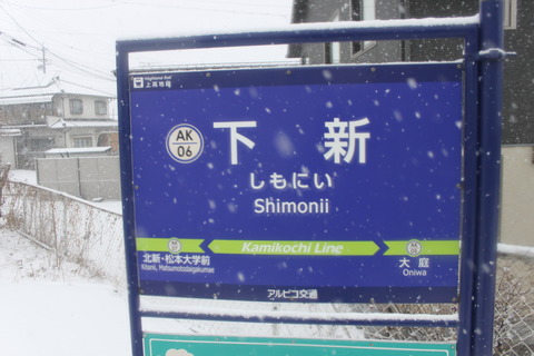 shimonii