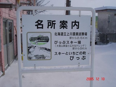 pippu_meisho_info