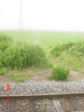 kitaura_exit2