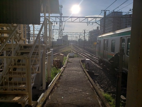 fujisawa_orikaeshi