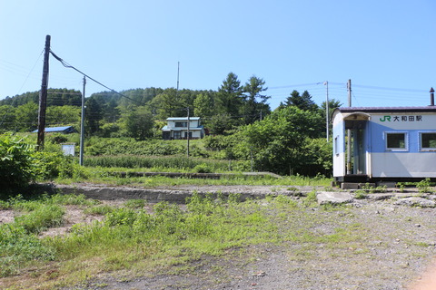owada_dodai