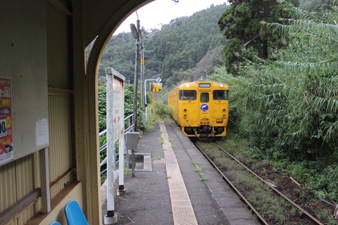kouchiumi_home_forMinamimiyazaki