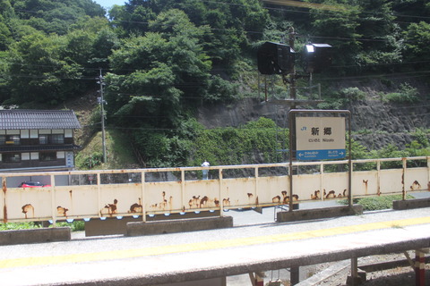 niizato_konai