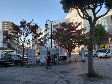 minamikashiwa_west_soto