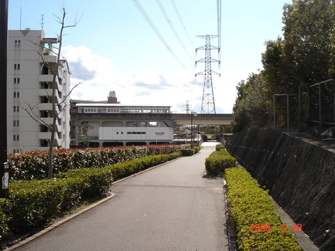 tokadaihigashi_zenkei