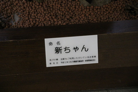 shinkotoni_shinchan_yurai