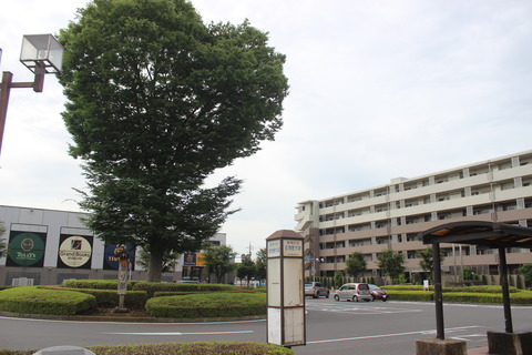 jichiidai_east_soto