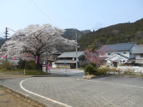 shimotaki_soto