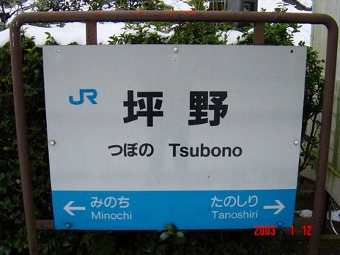 tsubono