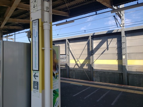 nakaurawa_Station_collar