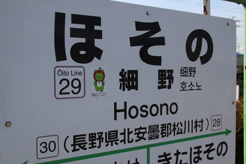 hosono_arukuma