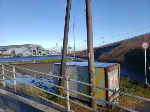 nishibara_soto_tiger