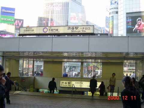 shibuya_hachi