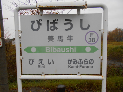 bibaushi