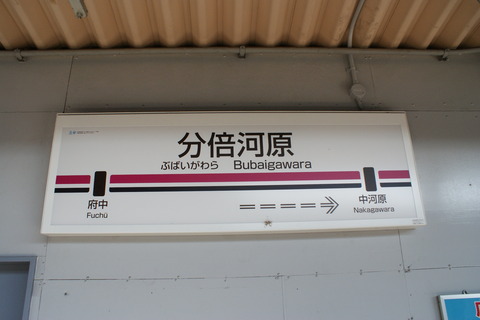 DSC06766
