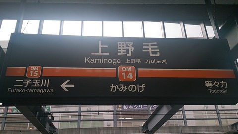 kaminoge