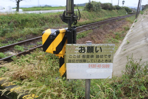 mochibaru_ireidhi1