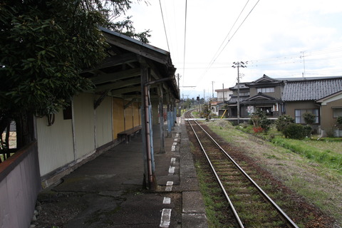 enokimachi_konai