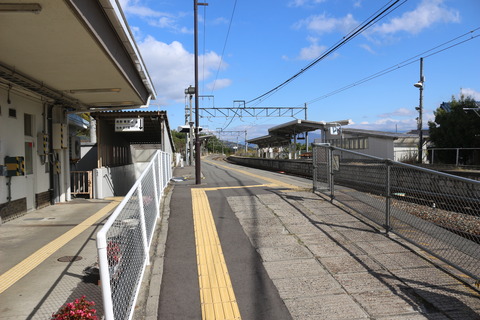 sansai_konai