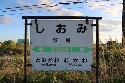 shiomi