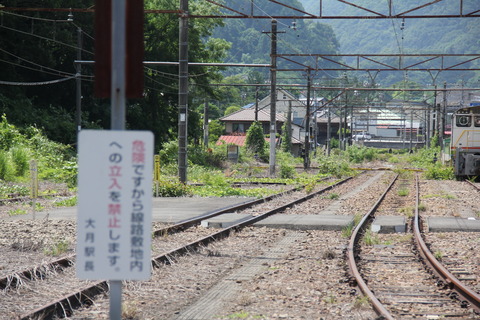 hatsukari_sokusen1
