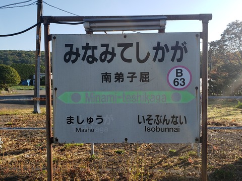 minamiteshikaga
