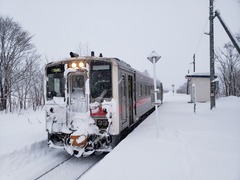 momponai_home_forWakkanai