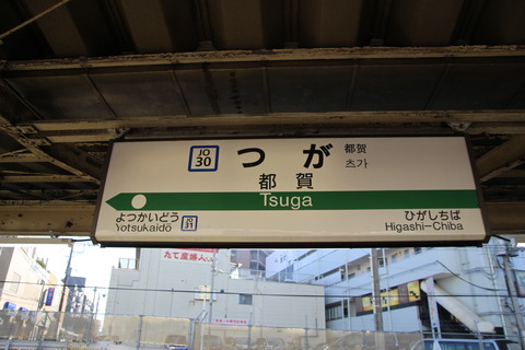 tsuga