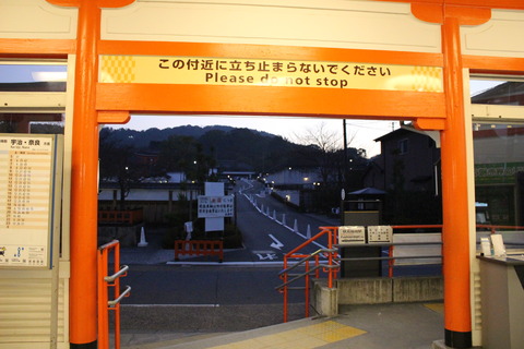 inari_dontstop