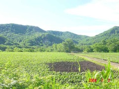 shiohoro_soto