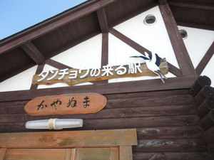 kayanuma_tancho