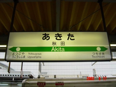akita
