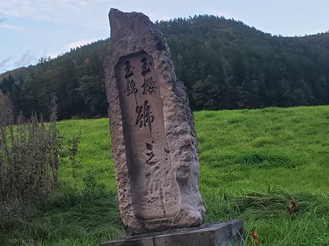 shinsakaeno_hi