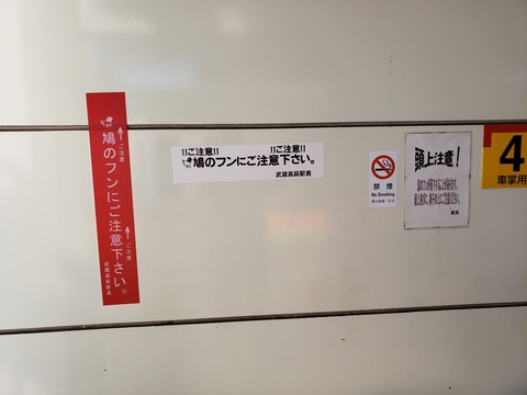 musashitakahagi_hato