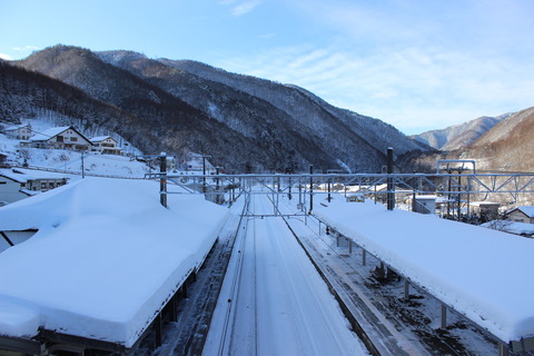 yabuhara_konai