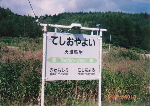 teshioyayoi