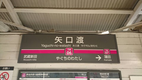 yaguchinowatashi