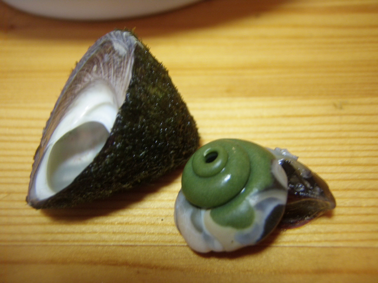 磯もん ヘコヘコとんぼ