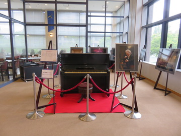 ��߷��������ľ������Ƥ��Ƥ����ԥ���