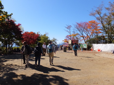 19����ĺ�Ǥ�