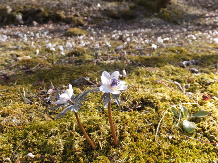 00���ޤ��ޤ�