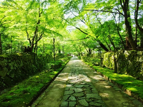 ���������Ф��о�������ػ�