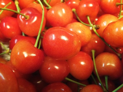 ��ǯ�Τ������ܤϰ��ʤȤ���������