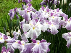 �����ϡ����ڤ���