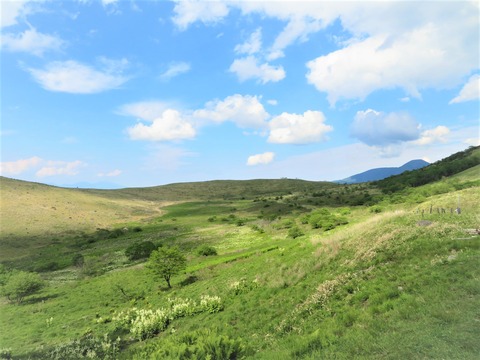 �������ܥå���ҥ�åƤ��鸫������̸����������ʪ����